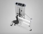 DHZ Evost III Seated Dip extra weight