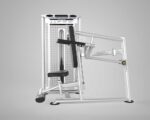 DHZ Evost III Seated Dip extra weight