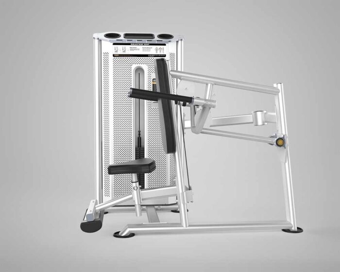 DHZ Evost III Seated Dip extra weight