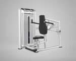 DHZ Evost III Seated Dip extra weight