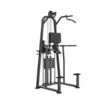 DHZ Evost III Dip/Chin Assist