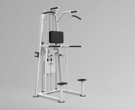 DHZ Evost III Dip/Chin Assist