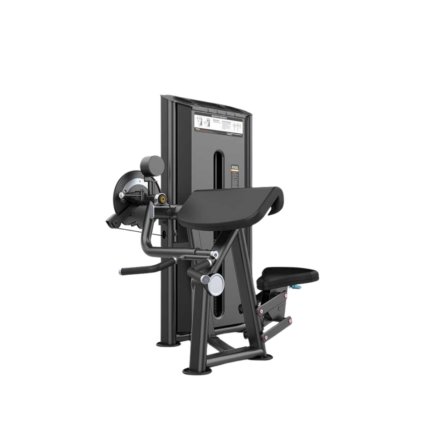 DHZ Evost III DUAL Camber Curl & Triceps