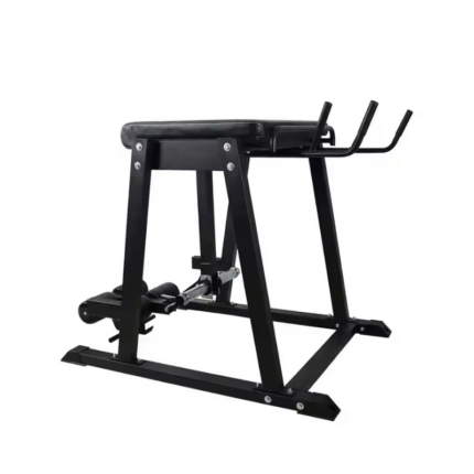 Reverse Hyperextenssion