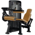LIFE FITNESS INSIGNIA Leg Curl